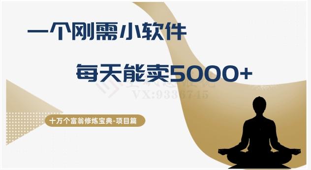十万个富翁修炼宝典之17.一个刚需小软件，每天能卖5000+-巅峰资源网
