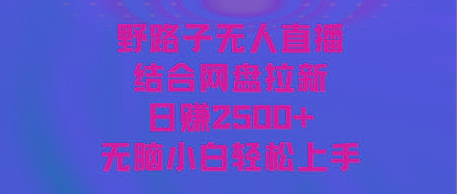 无人直播野路子结合网盘拉新，日赚2500+多平台变现，小白无脑轻松上手操作-巅峰资源网