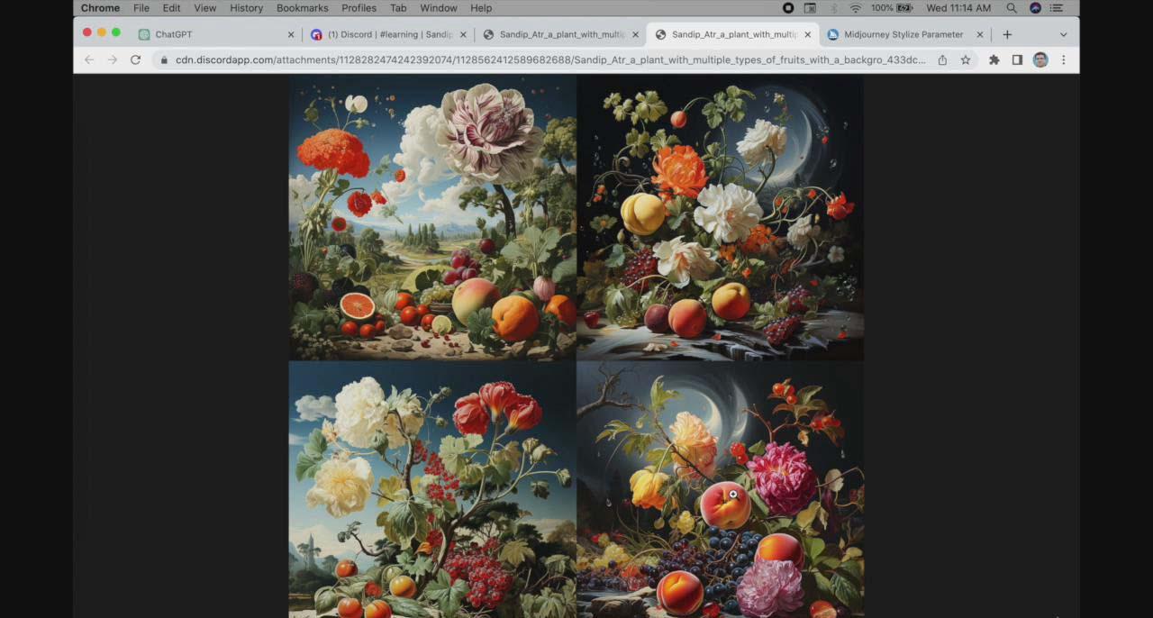 图片[1]-ChatGPT4 和 MidJourney AI 绘画聊天革命性指南教程-33节视频课-中英字幕-巅峰资源网