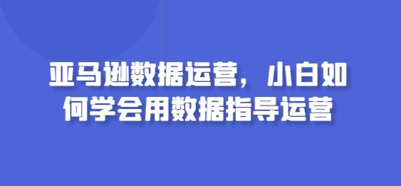 亚马逊数据运营，小白如何学会用数据指导运营-巅峰资源网