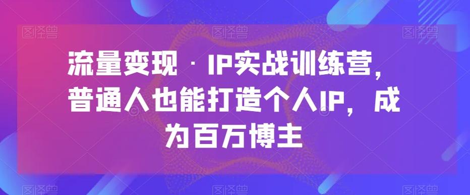 流量变现·IP实战训练营，普通人也能打造个人IP，成为百万博主-巅峰资源网