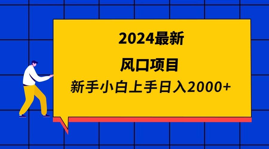 (9483期)2024最新风口项目 新手小白日入2000+-巅峰资源网