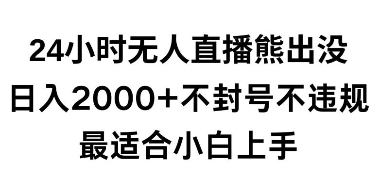 快手24小时无人直播熊出没，不封直播间，不违规，日入2000+，最适合小白上手，保姆式教学【揭秘】-巅峰资源网