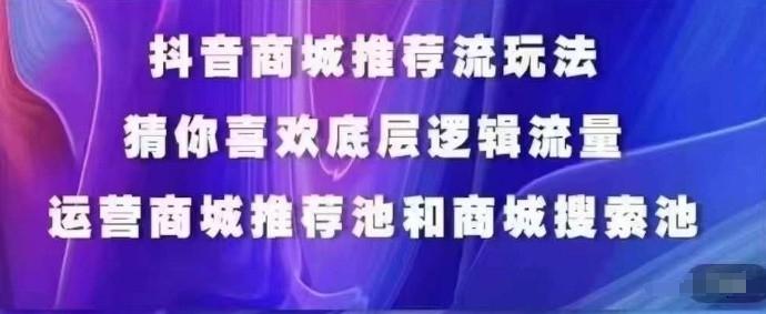 抖音商城运营课程，猜你喜欢入池商城搜索商城推荐人群标签覆盖-巅峰资源网