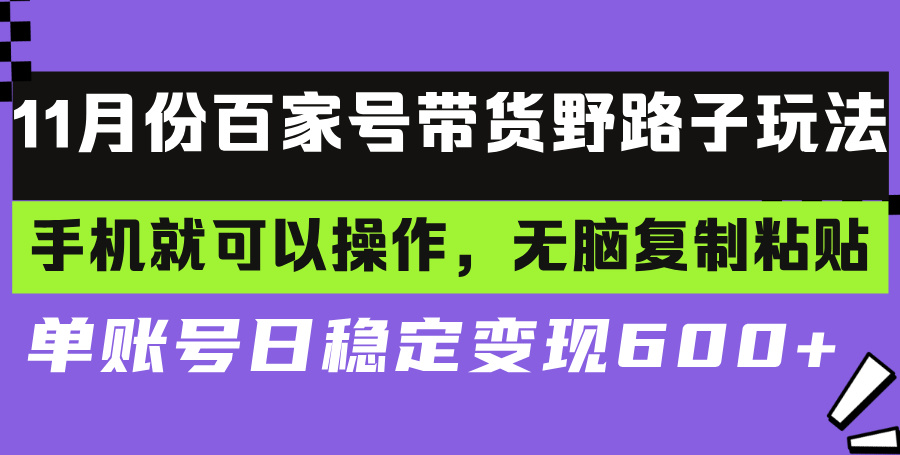 百家号带货野路子玩法 手机就可以操作，无脑复制粘贴 单账号日稳定变现...-巅峰资源网