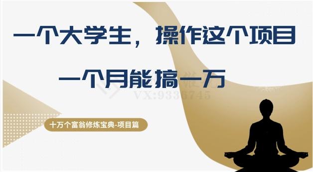 十万个富翁修炼宝典之4.一个大学生操作这个项目，一个月能搞一万-巅峰资源网