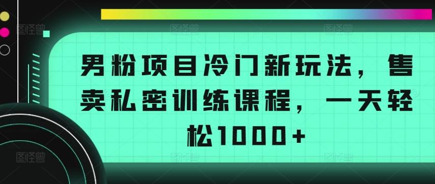 男粉项目冷门新玩法，售卖私密训练课程，一天轻松1000+【揭秘】-巅峰资源网