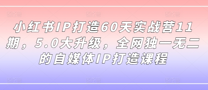 小红书IP打造60天实战营11期，5.0大升级，全网独一无二的自媒体IP打造课程-巅峰资源网