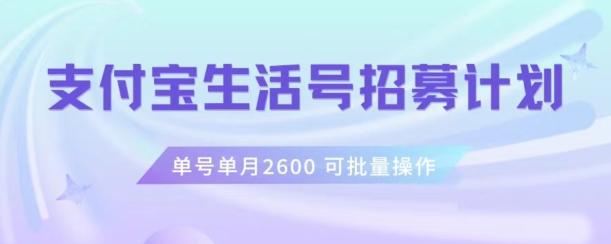 支付宝生活号作者招募计划，单号单月2600，可批量去做，工作室一人一个月轻松1w+【揭秘】-巅峰资源网