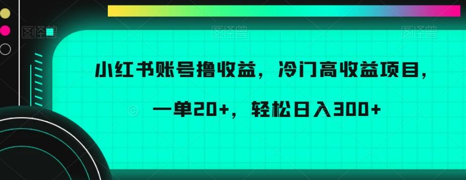 小红书账号撸收益，冷门高收益项目，一单20+，轻松日入300+【揭秘】-巅峰资源网