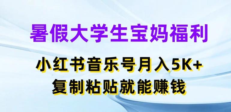 暑假大学生宝妈福利，小红书音乐号月入5000+，复制粘贴就能赚钱【揭秘】-巅峰资源网