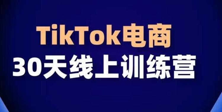 TikTok电商带货30天线上课，不可错过的全球流量洼地！-巅峰资源网