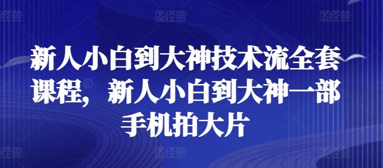 新人小白到大神技术流全套课程，新人小白到大神一部手机拍大片-巅峰资源网
