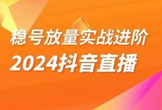 稳号放量实战进阶—2024抖音直播，直播间精细化运营的几大步骤-巅峰资源网