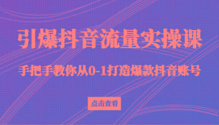 引爆抖音流量实操课，手把手教你从0-1打造爆款抖音账号(27节课)-巅峰资源网