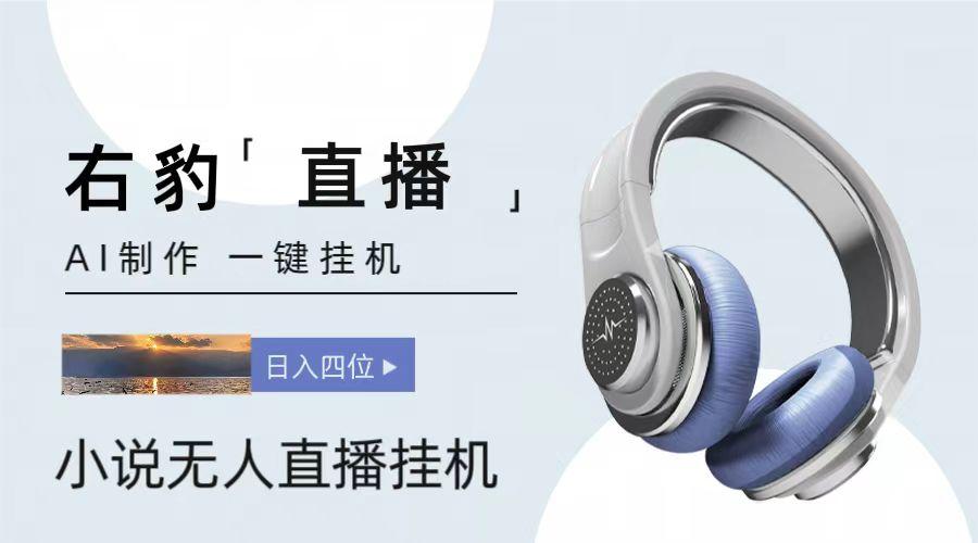 右豹小说无人直播挂机吸金项目，简单易行收益稳定， 月入1000+-巅峰资源网