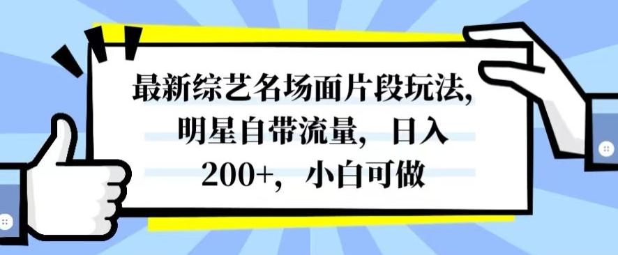 最新综艺名场面片段玩法，明星自带流量，日入200+，小白可做【揭秘】-巅峰资源网