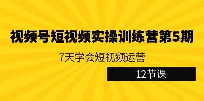 视频号短视频实操训练营第5期：7天学会短视频运营(12节课)-巅峰资源网