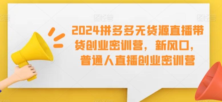 2024拼多多无货源直播带货创业密训营，新风口，普通人直播创业密训营-巅峰资源网