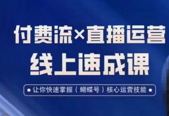 视频号付费流实操课程，付费流✖️直播运营速成课，让你快速掌握视频号核心运营技能-巅峰资源网