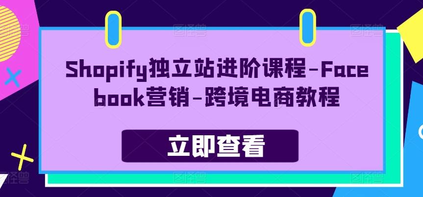 Shopify独立站进阶课程-Facebook营销-跨境电商教程-巅峰资源网