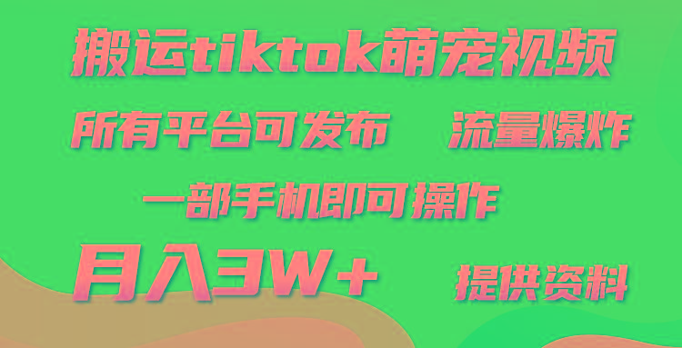(9618期)搬运Tiktok萌宠类视频，一部手机即可。所有短视频平台均可操作，月入3W+-巅峰资源网