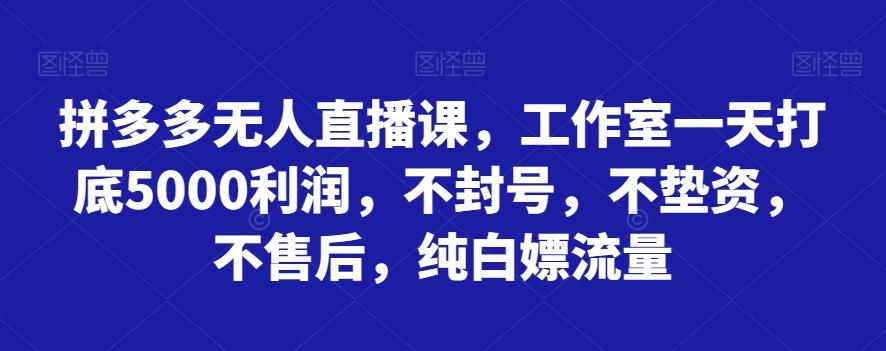 拼多多无人直播课，工作室一天打底5000利润，不封号，不垫资，不售后，纯白嫖流量-巅峰资源网