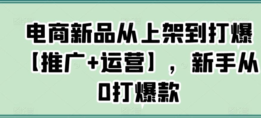 电商新品从上架到打爆【推广+运营】，新手从0打爆款-巅峰资源网