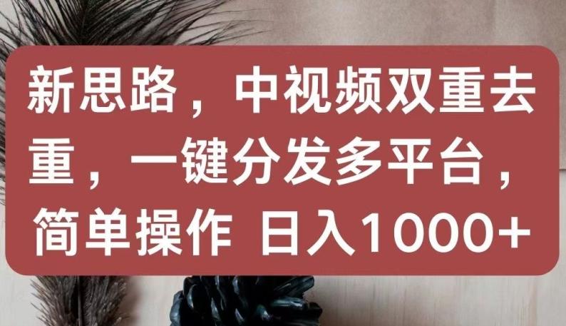 新思路，中视频双重去重，一键分发多平台，简单操作，日入1000+【揭秘】-巅峰资源网