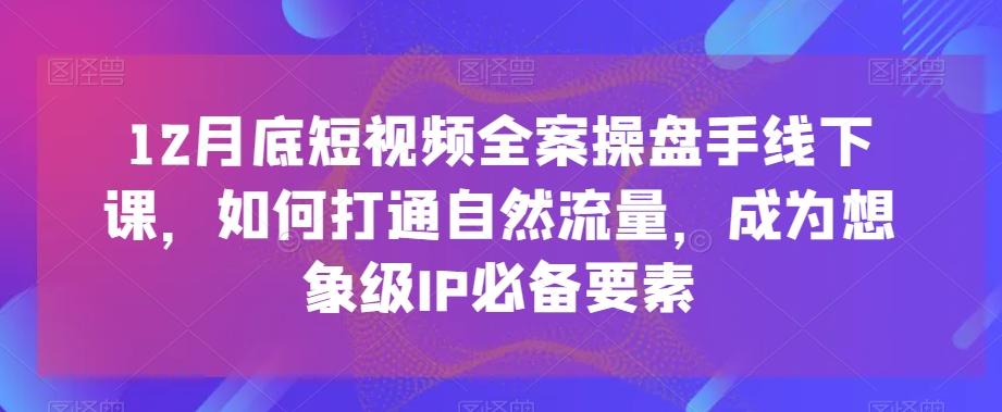 12月底短视频全案操盘手线下课，如何打通自然流量，成为想象级IP必备要素-巅峰资源网