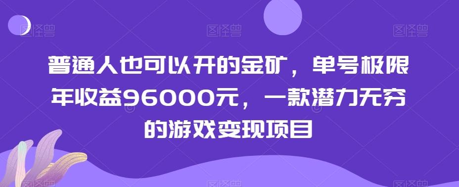 普通人也可以开的金矿，单号极限年收益96000元，一款潜力无穷的游戏变现项目【揭秘】-巅峰资源网