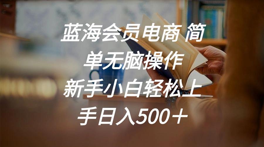 蓝海会员电商 简单无脑操作 新手小白轻松上手日入500＋-巅峰资源网