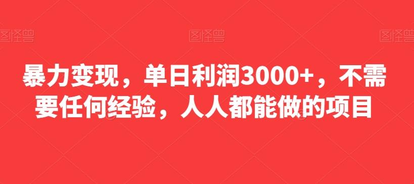 暴力变现，单日利润3000+，不需要任何经验，人人都能做的项目-巅峰资源网