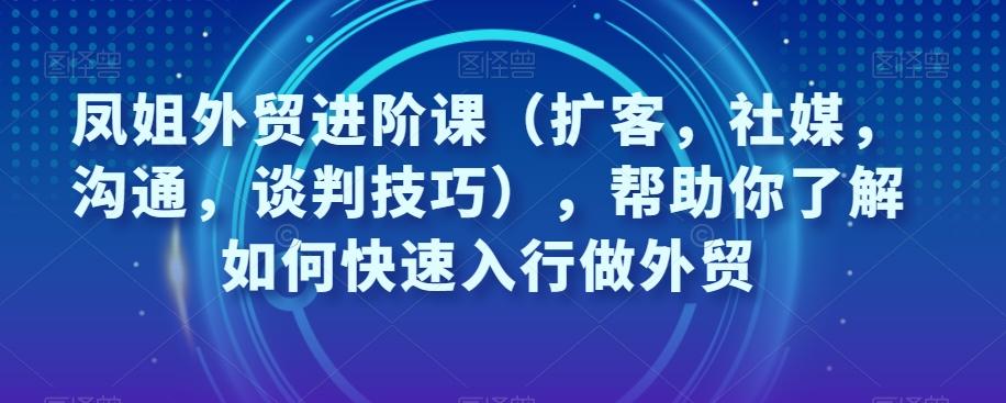 凤姐外贸进阶课（扩客，社媒，沟通，谈判技巧），帮助你了解如何快速入行做外贸-巅峰资源网
