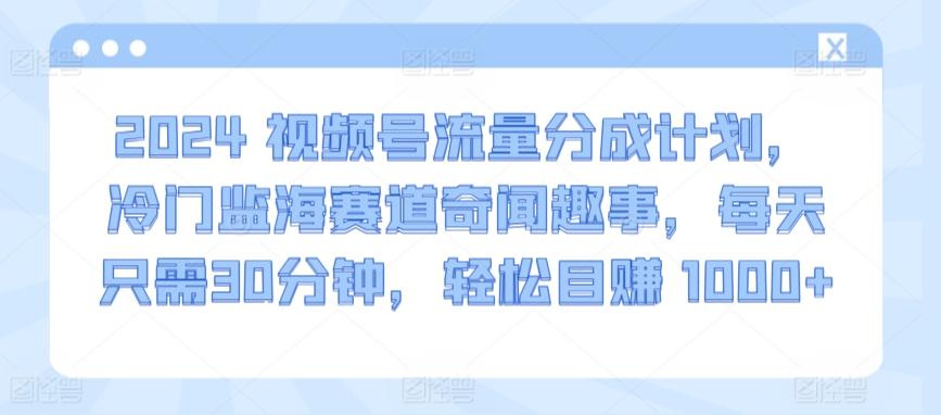 2024视频号流量分成计划，冷门监海赛道奇闻趣事，每天只需30分钟，轻松目赚 1000+【揭秘】-巅峰资源网