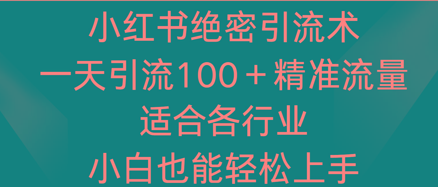 小红书绝密引流术，一天引流100＋精准流量，适合各个行业，小白也能轻松上手-巅峰资源网