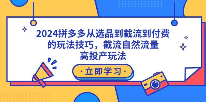 2024拼多多从选品到截流到付费的玩法技巧，截流自然流量玩法，高投产玩法-巅峰资源网