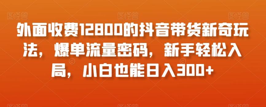 外面收费12800的抖音带货新奇玩法，爆单流量密码，新手轻松入局，小白也能日入300+【揭秘】-巅峰资源网