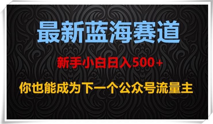 最新蓝海赛道，新手小白日入500+，你也能成为下一个公众号流量主【揭秘】-巅峰资源网