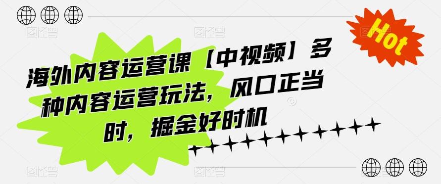 海外内容运营课【中视频】多种内容运营玩法，风口正当时，掘金好时机-巅峰资源网