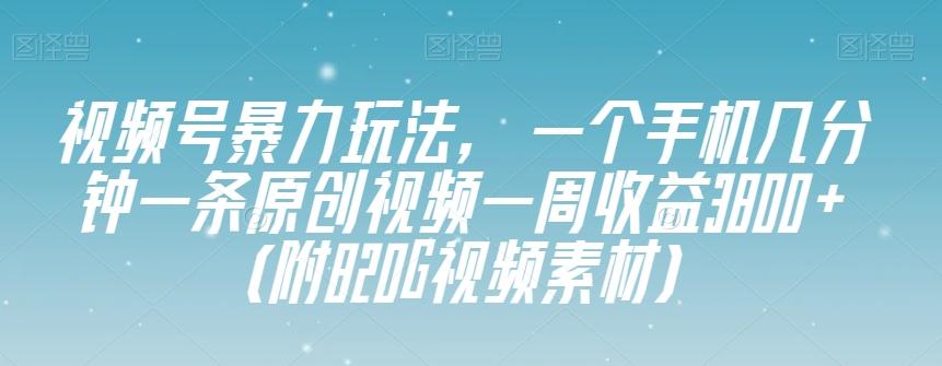 视频号暴力玩法，一个手机几分钟一条原创视频一周收益3800+（附820G视频素材）-巅峰资源网