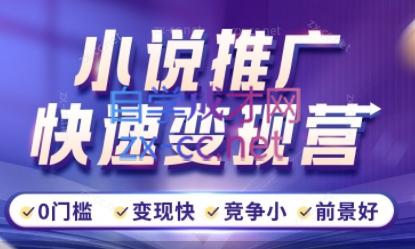 洲洲老师·小说推广快速变现营-巅峰资源网
