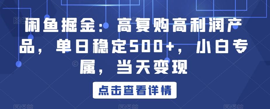 闲鱼掘金：高复购高利润产品，单日稳定500+，小白专属，当天变现-巅峰资源网