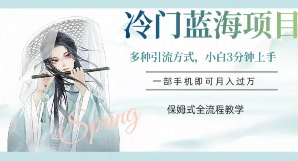冷门蓝海项目，操作简单，小白3分钟上手，多种引流方式，保姆式全流程教学【揭秘】-巅峰资源网