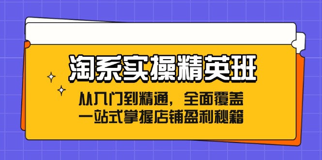 淘系实操精英班：从入门到精通，全面覆盖，一站式掌握店铺盈利秘籍-巅峰资源网