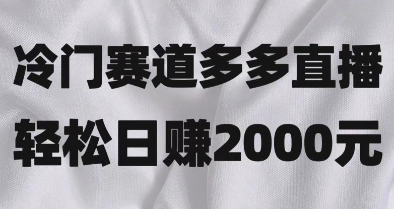 冷门赛道拼多多直播，简单念稿子，日收益2000＋【揭秘】-巅峰资源网