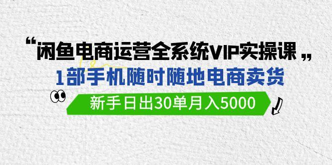 (9547期)闲鱼电商运营全系统VIP实战课，1部手机随时随地卖货，新手日出30单月入5000-巅峰资源网