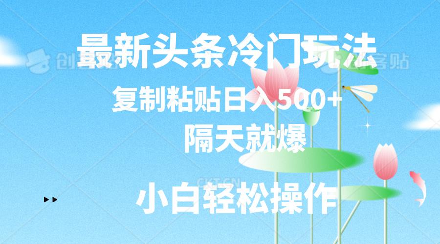 最新头条冷门玩法，隔天就爆，复制粘贴日入500+-巅峰资源网
