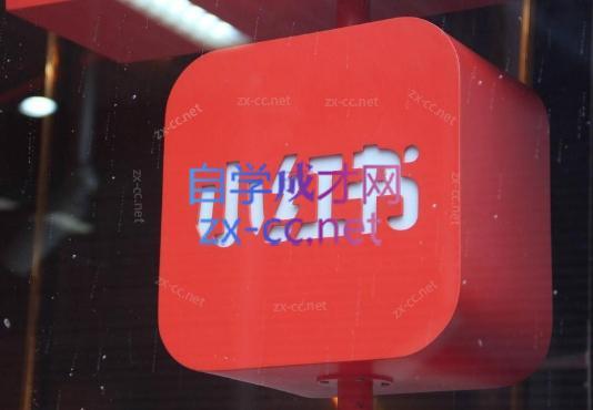 伊伊·红薯【高级班】运营课-巅峰资源网