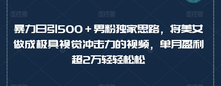 暴力日引500＋男粉独家思路，将美女做成极具视觉冲击力的视频，单月盈利超2万轻轻松松-巅峰资源网